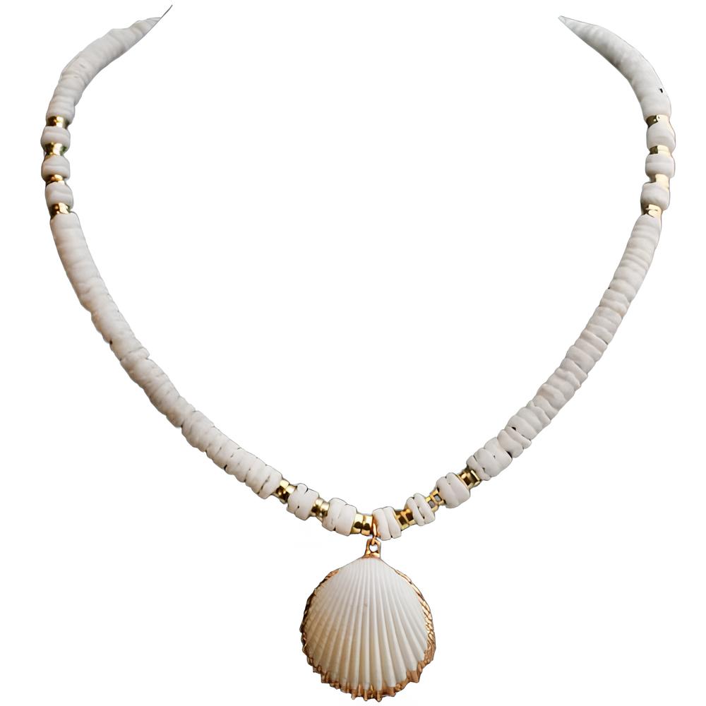 collier-coquillage-263dbf-1.jpg collier coquillage – Image 1