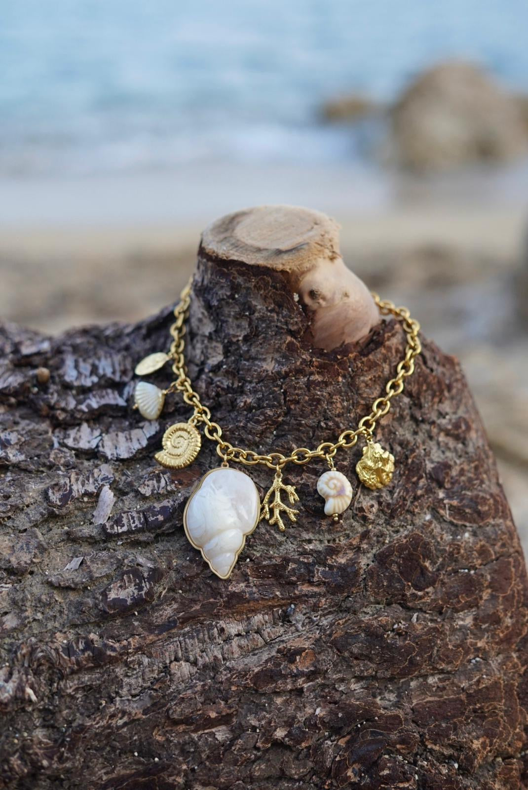 collier-coquillage-309rxh-1.jpg collier coquillage – Image 1