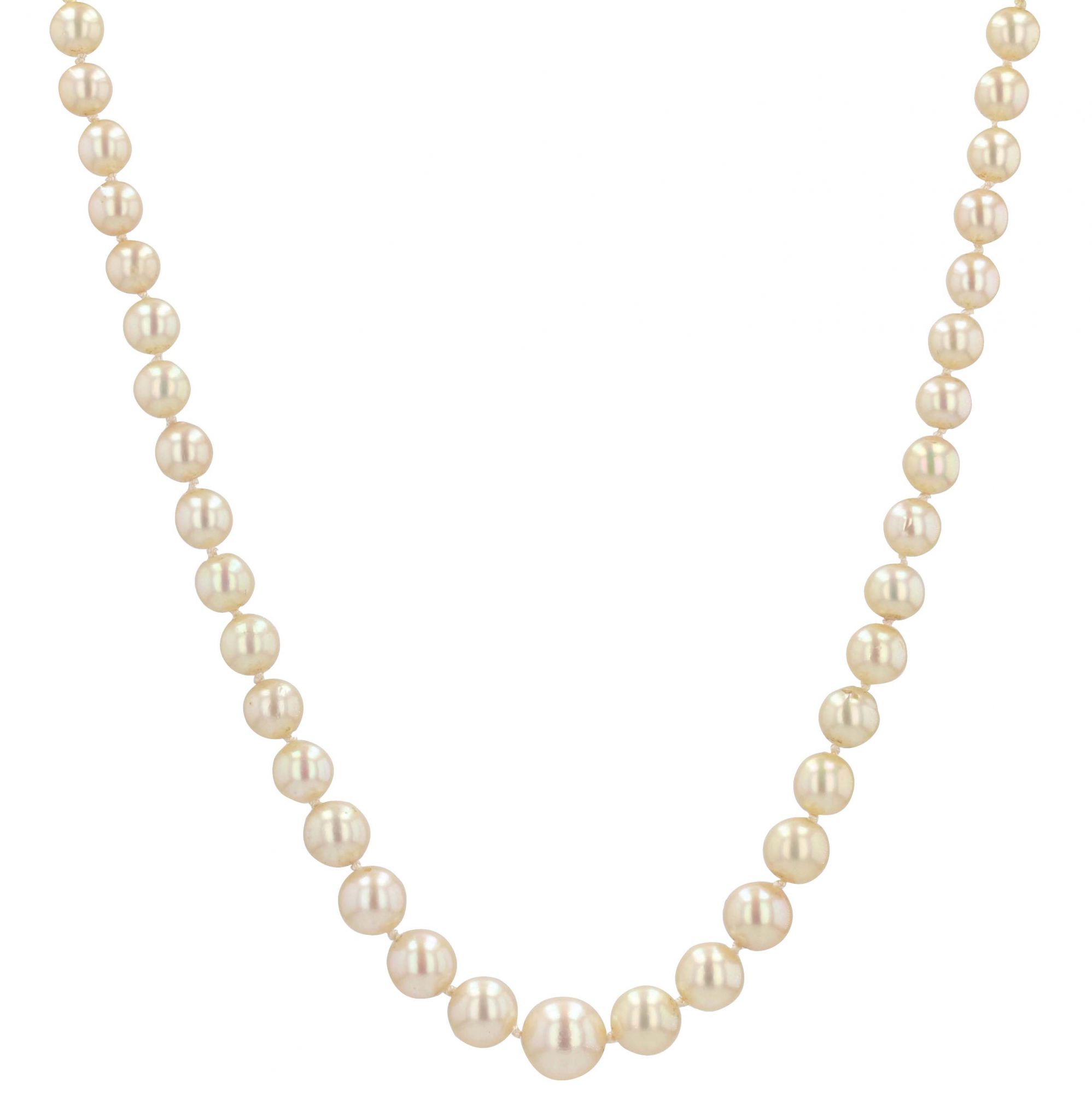 collier-perle-316xjz-1.jpg collier perle – Image 1